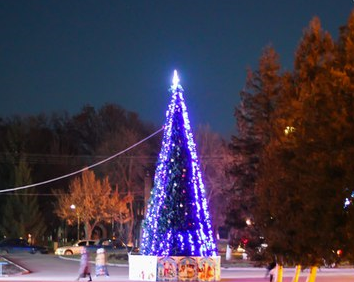 Відбулося урочисте відкриття ялинки