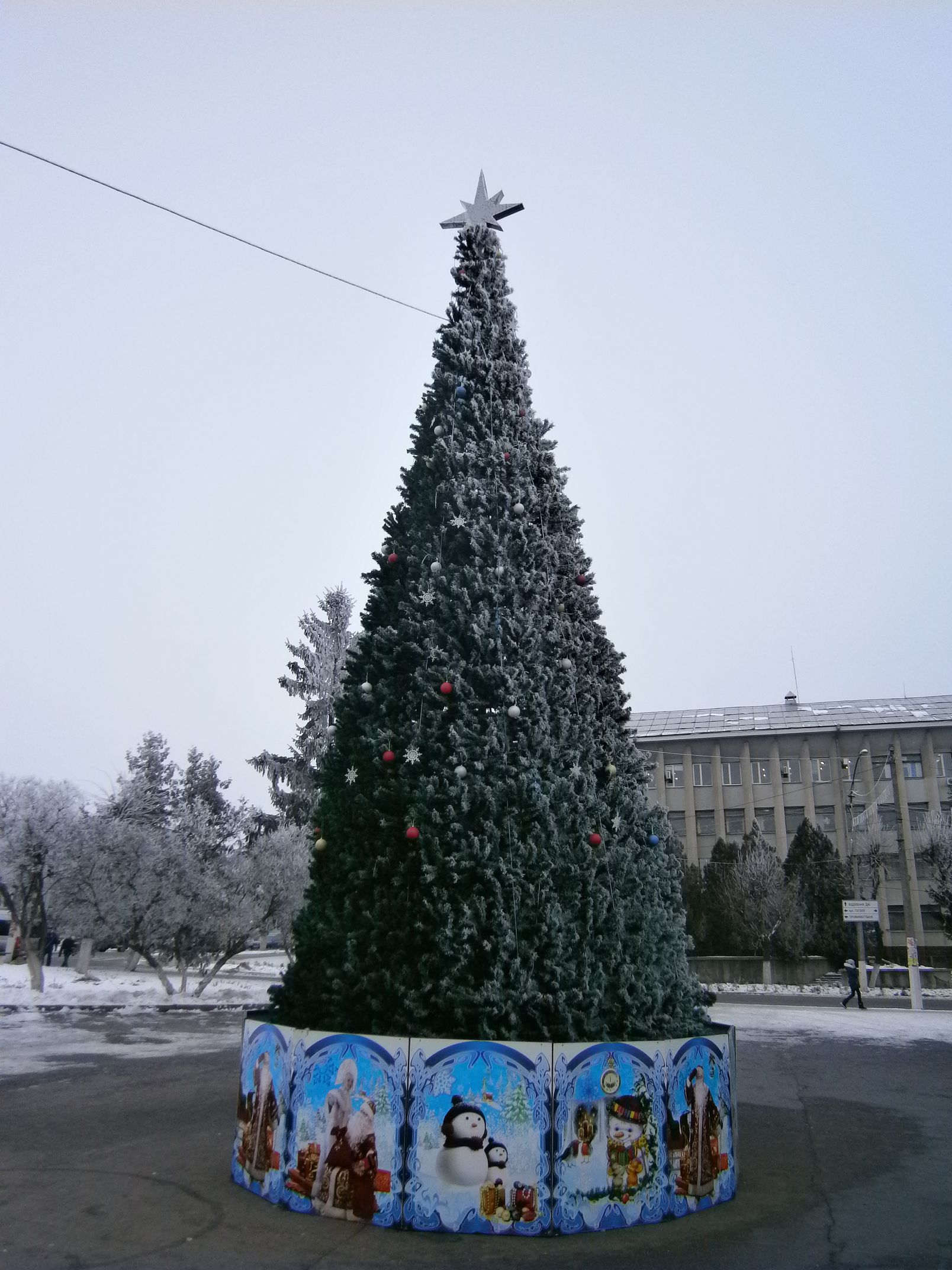 Відбулося відкриття новорічної ялинки