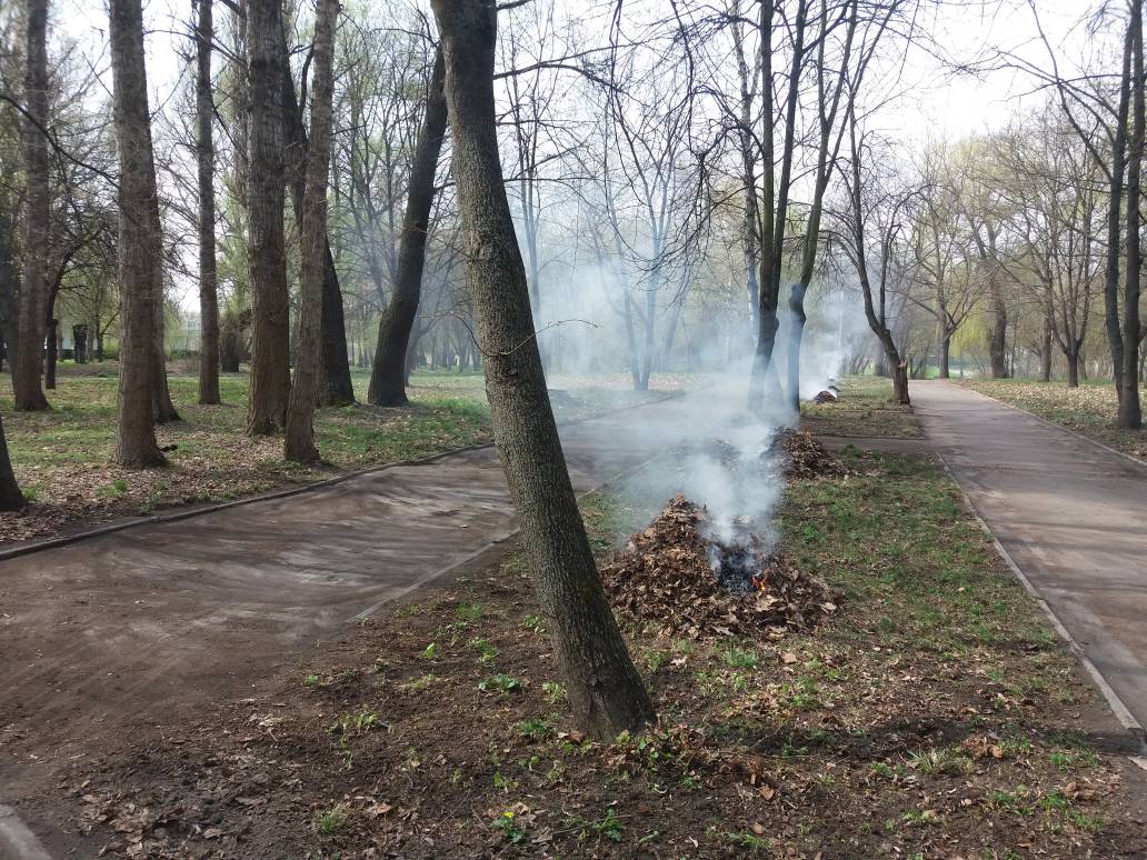 Чистота в місті залежить від кожного з нас