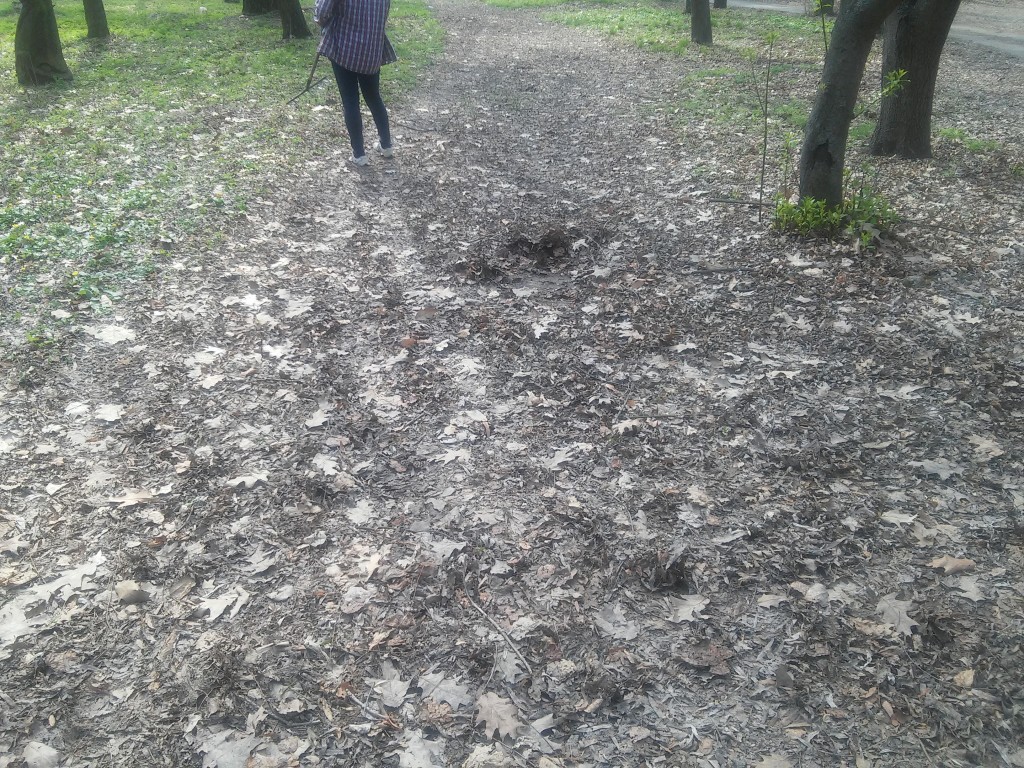 20170406_123108