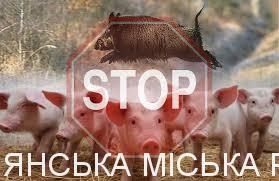 Що таке АЧС і в чому її небезпека?