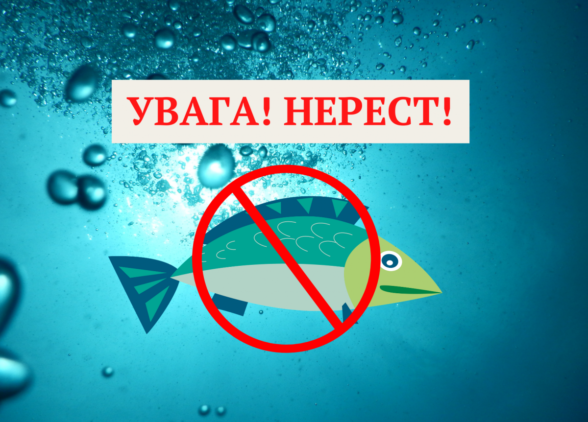 УВАГА! Важлива інформація!!!!  ОГОЛОШЕННЯ!