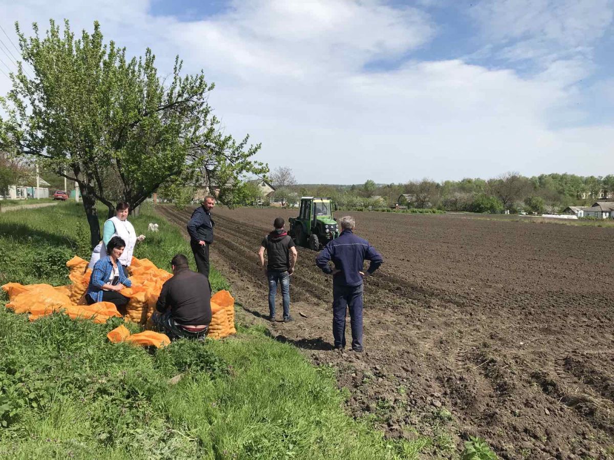 Гуманітарна благодійність: громада отримала посадковий матеріал картоплі
