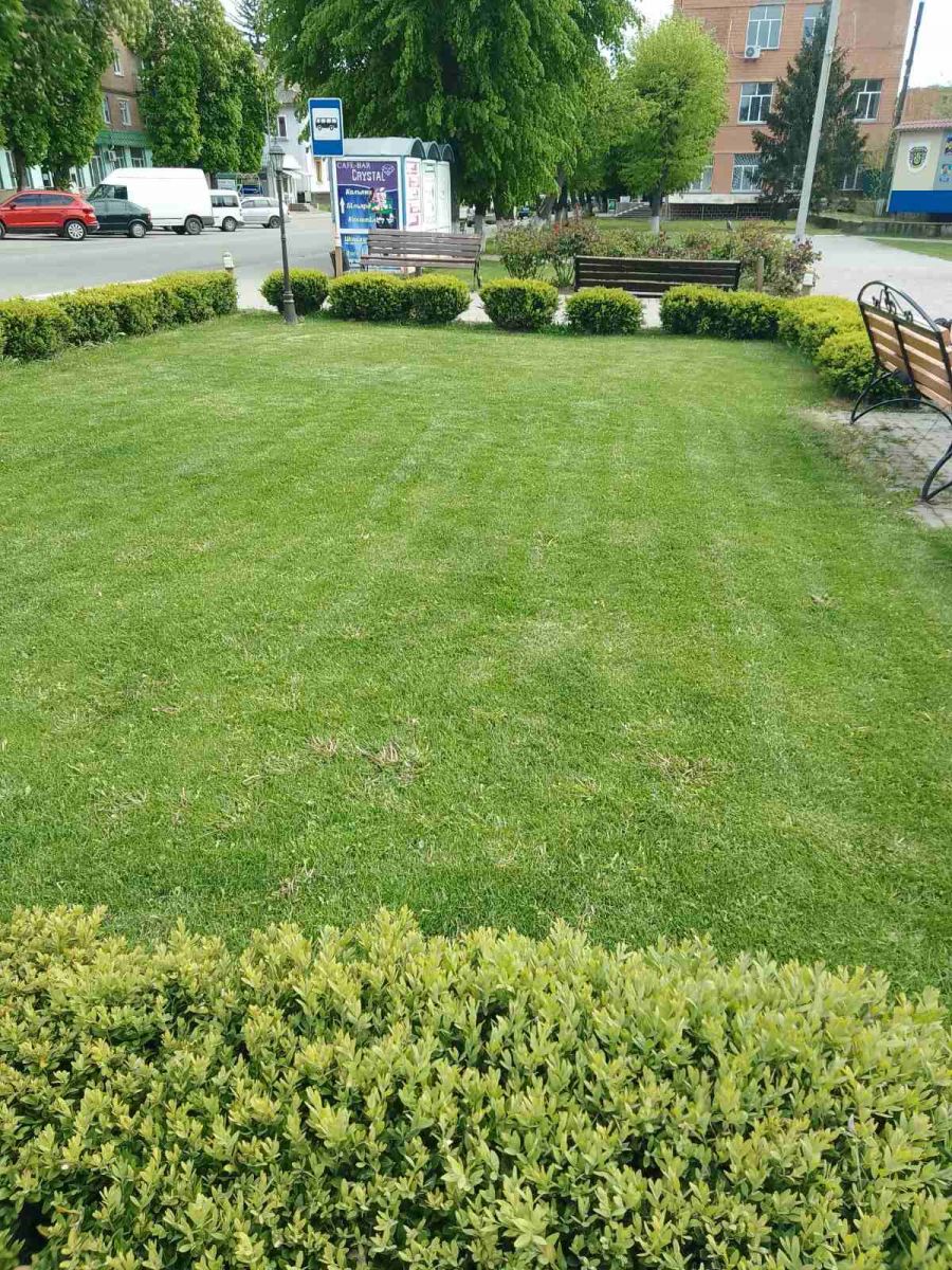 🌳 Підготували зону відпочинку на площі 🌳