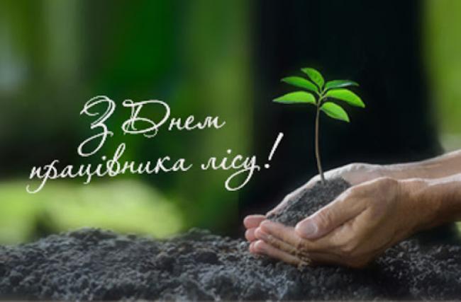 Шановні працівники лісу!
